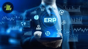Logic ERP Customization 2