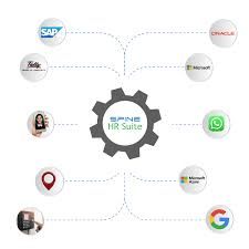 Spine HR Deployment services for businesses