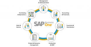 SAP Business One Implementation 2