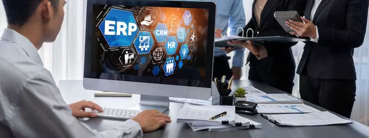 Custom ERP Development 2