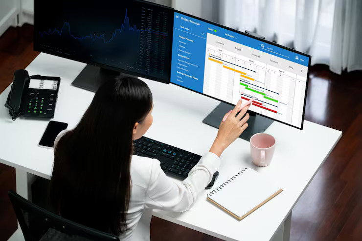 Tally Customization Services 2